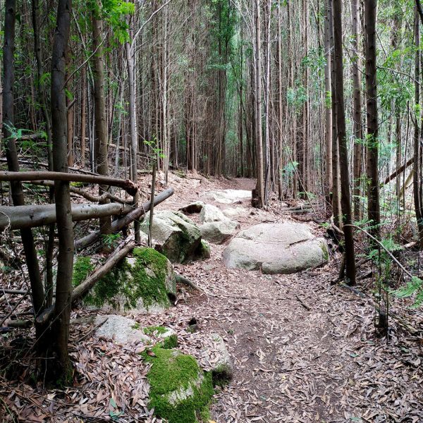 Rotas Fitbike | MTB - Image 5