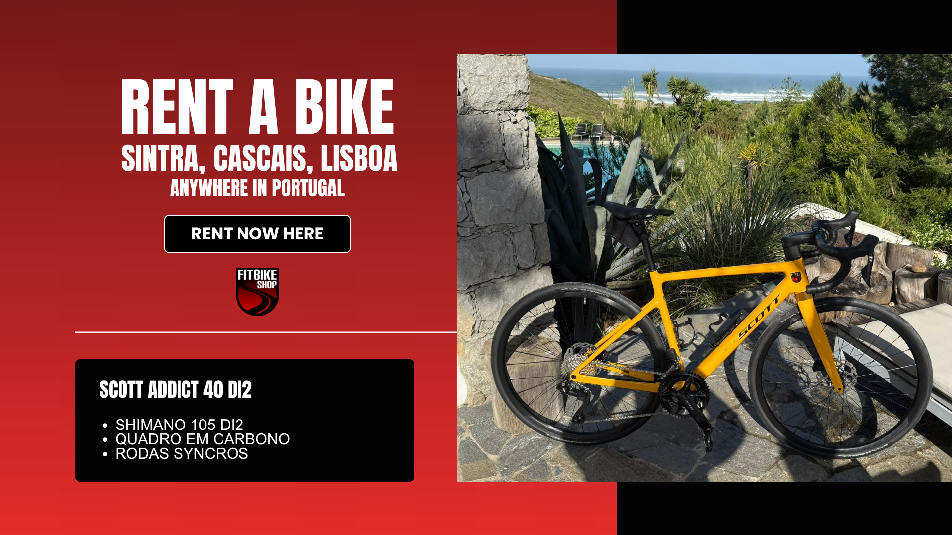 rent-scott-addict_40